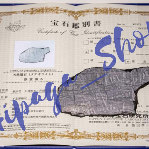 隕石鑑別書 ペンダントトップ ☆Gipaga_Shop☆ 通販 14963359｜Creema