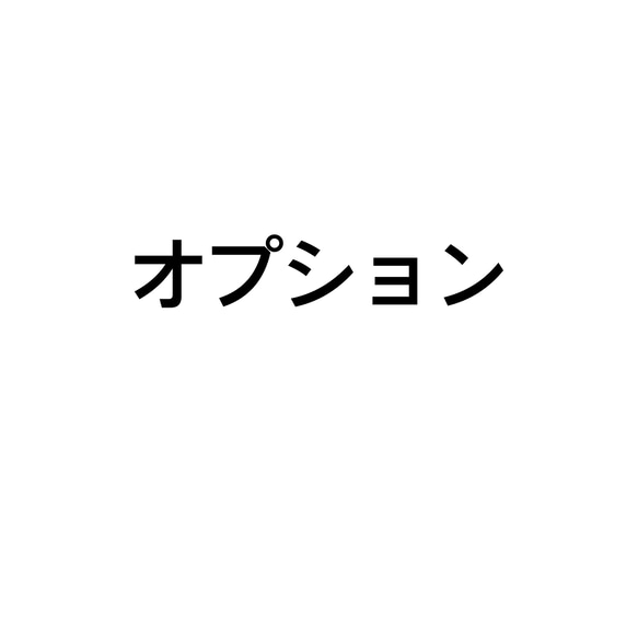 オプション　 1枚目の画像