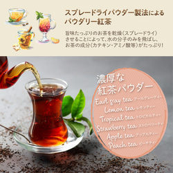 ドライフルーツティー 【メロン&マンゴー】 パウダリー紅茶 食べれるダイスカットドライフルーツ10g×5パックセット 6枚目の画像