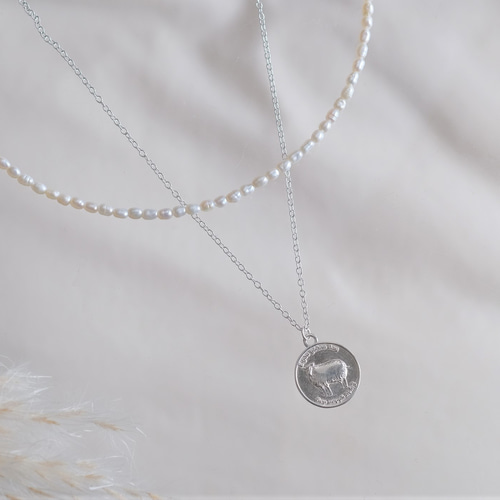 羊コインネックレス2本セットEigðu góðan dag necklace silver