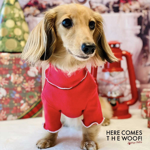 タートルネック インナー オシャレ 犬服 犬の洋服 ドックウェア 秋冬