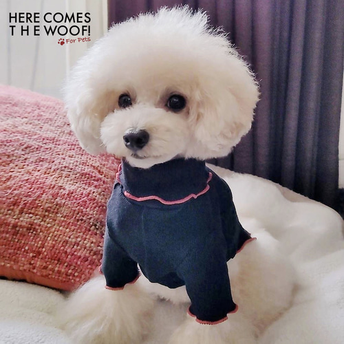 タートルネック インナー オシャレ 犬服 犬の洋服 ドックウェア 秋冬