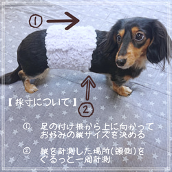 《お好みでオーダー》　ペット用　犬用　あったか　腹巻き　小豆カイロ　mini付　お名前スタンプ 12枚目の画像