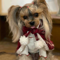 ポンチョ チェック柄 オシャレ着 お散歩着 お出かけ着 冬服 犬服 犬の