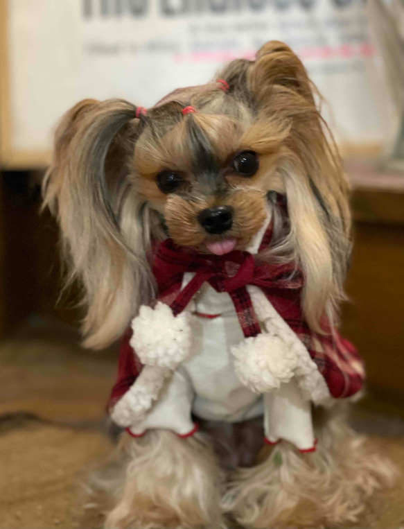 オーダーページ ハンカチ お出かけ中わんこ柄 1/15 犬種選べる タオル