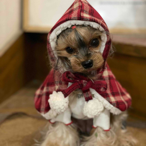 ポンチョ チェック柄 オシャレ着 お散歩着 お出かけ着 冬服 犬服 犬の