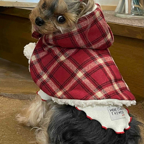ポンチョ チェック柄 オシャレ着 お散歩着 お出かけ着 冬服 犬服 犬の