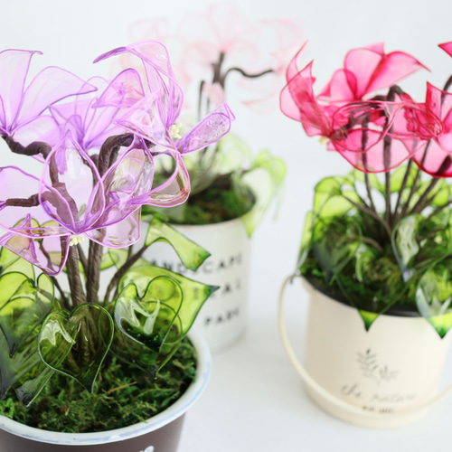 ブリキ缶付き シクラメン アメリカンフラワー ディップフラワー アート