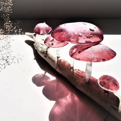 ガラスのキノコ　置物　オブジェ　シロ粒ピンク5本 5枚目の画像