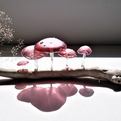 ガラスのキノコ　置物　オブジェ　シロ粒ピンク5本 10枚目の画像