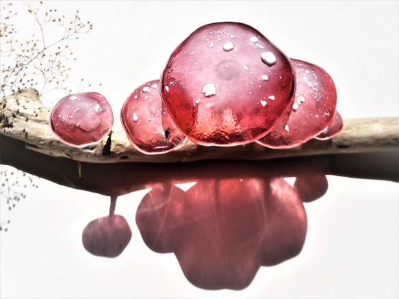 ガラスのキノコ　置物　オブジェ　シロ粒ピンク5本 3枚目の画像