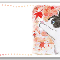 ぬ ページ イラスト ポストカード シロ&ペンスイーツ 5枚 ポストカード はがき イラスト デザイン