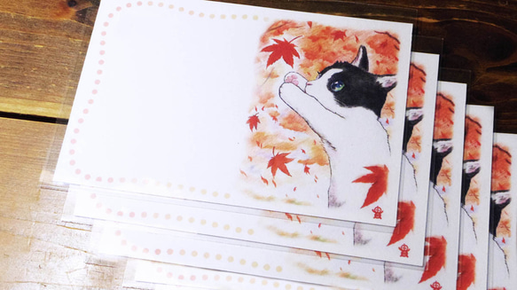 紅葉ねこさんイラストポストカード・5枚セット 4枚目の画像