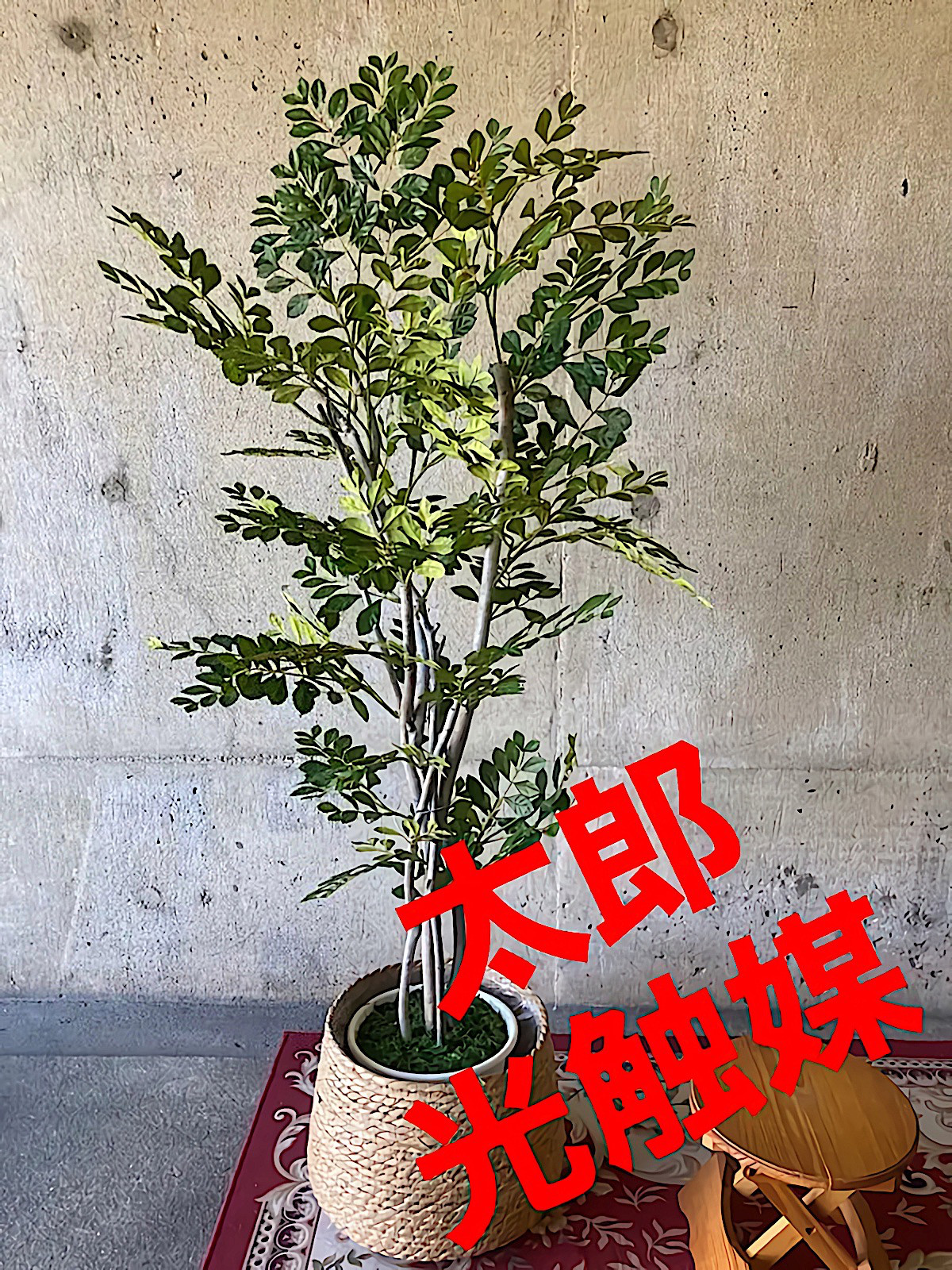 光触媒　人工観葉植物　ウォールグリーン　フェイク　アレンジ　オリーブ140