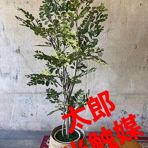光触媒 人工観葉植物 ウォールグリーン フェイク アレンジ トネリコ161
