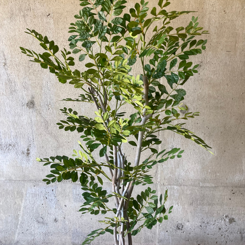 光触媒　人工観葉植物　ウォールグリーン　フェイクグリーン　トネリコ高さ1.2