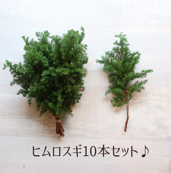 リース、スワッグ用材料 国産ヒムロスギ ドライフラワー 花職人工房