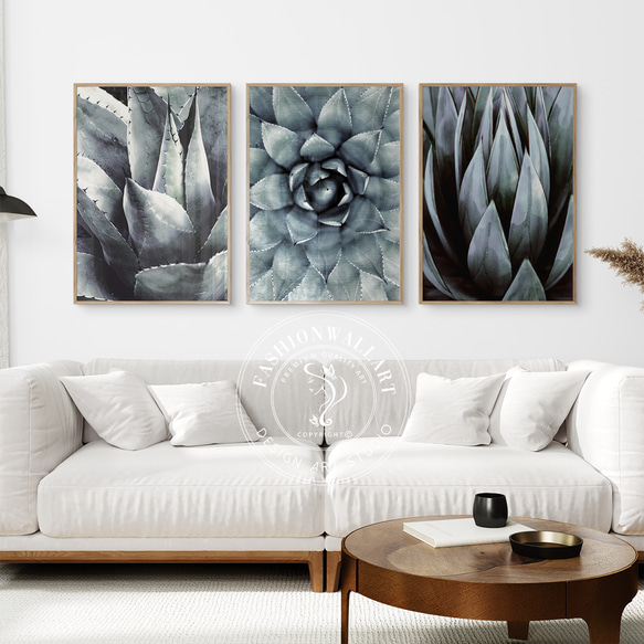 ボタニカル 多肉植物 succulent cactus  / インテリアポスター 海外アート ３枚セット / 4481 1枚目の画像