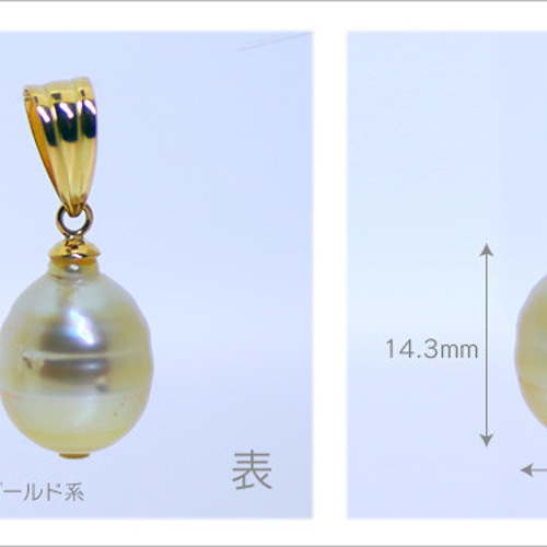 楽天市場】ペンダント パール 南洋 ゴールデンパール ペンダント