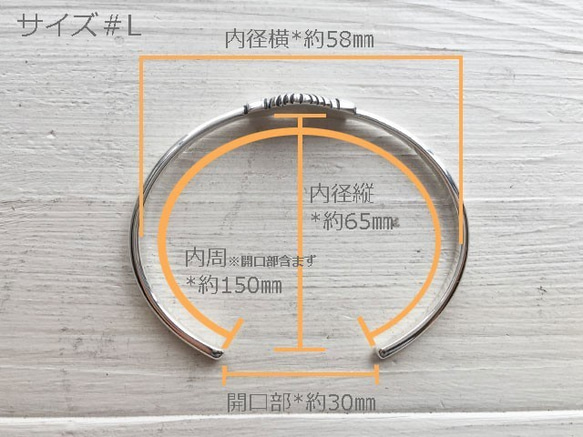  第6張的照片