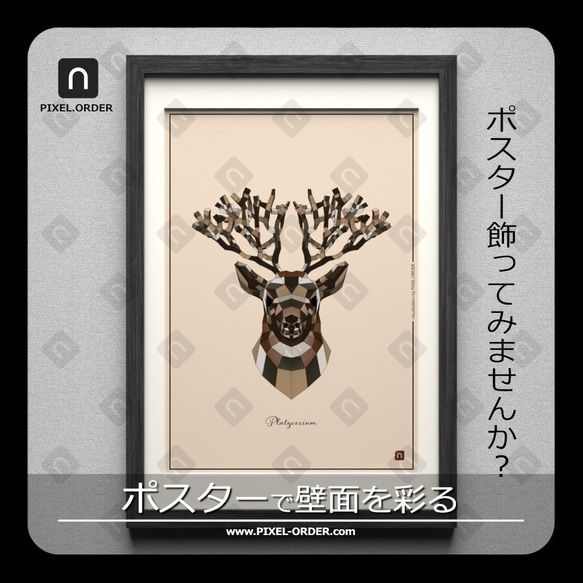 ビカクシダ鹿ポスター【Poly】 ボタニカルアート インテリア 写真