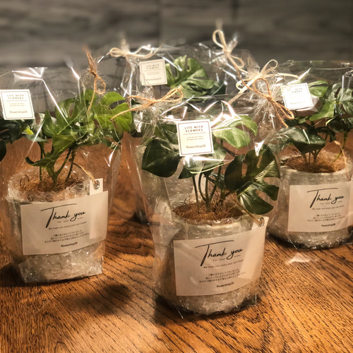 人気No.1》リアル過ぎるモダンなモンステラ フェイクグリーン 受注生産