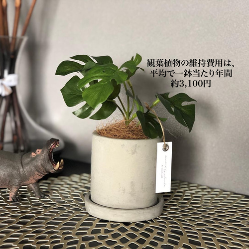 人気No.1》リアル過ぎるモダンなモンステラ フェイクグリーン 受注生産