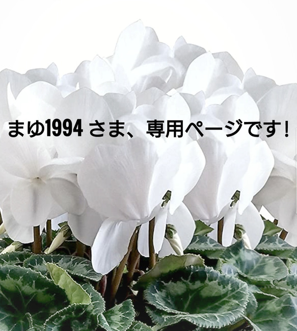 まゆ1994 様、専用ページになります。 1枚目の画像