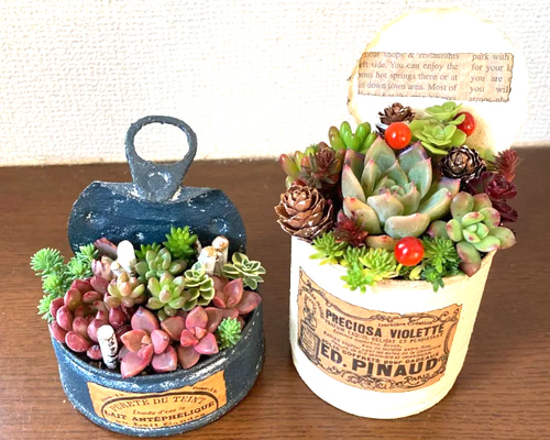 6-437、リメイク缶リメイク鉢リメ鉢多肉植物 6-437、リメイク缶リメイク鉢リメ鉢多肉植物