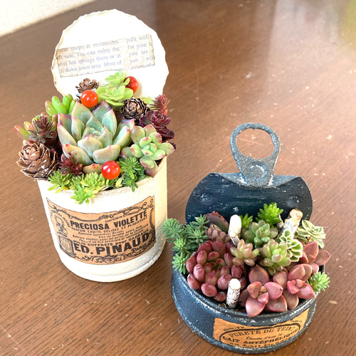 【レビューで送料無料】 リメイク缶鉢の多肉植物寄せ植え そのまま飾れる クリスマス フラワー・リース