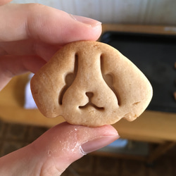 ビーグル　クッキー　型 1枚目の画像