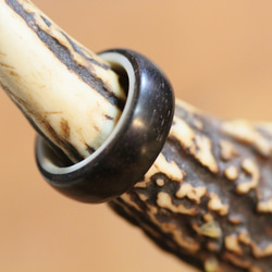 黒檀と鹿の角のリング（指輪）高級木材　檜の無垢材削り出しのケース付き 1枚目の画像