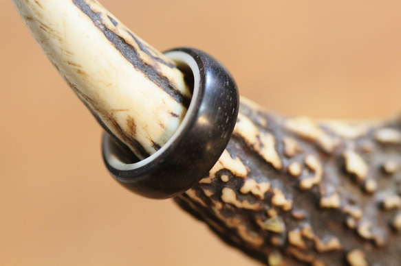黒檀と鹿の角のリング（指輪）高級木材　檜の無垢材削り出しのケース付き 1枚目の画像