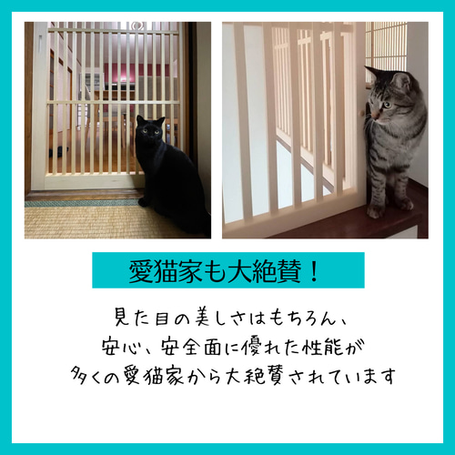 ネコ脱走防止引き戸 玄関用 ハウス・小屋 nekodoorshop 通販