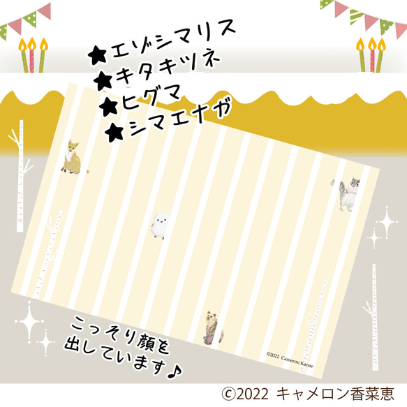 ★バースデーカード★ケーキが飛び出す！！＊北海道の動物たちがお祝い＊リス＊キツネ＊シマエナガ＊ヒグマ＊ポップアップカード 3枚目の画像