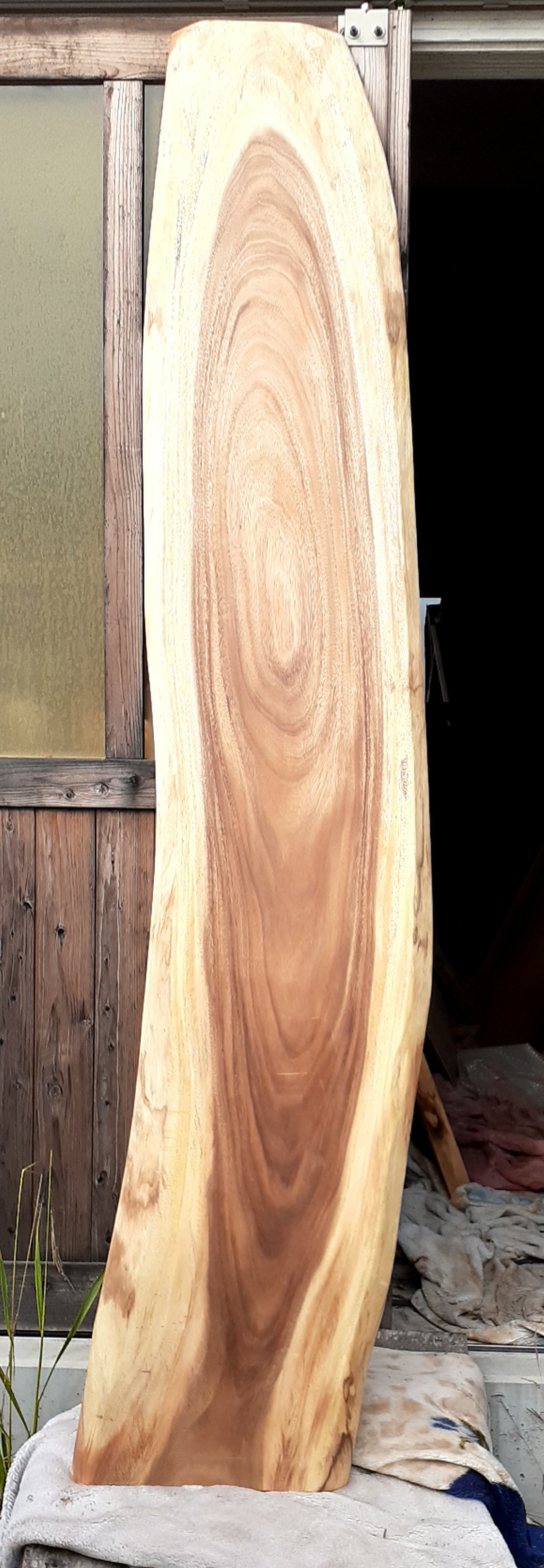 モンキーポット　カウンター　特大　一枚板　激安