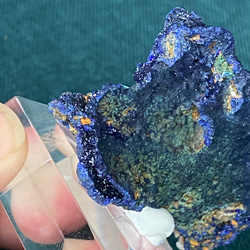 ♢サンゴ礁や花びら♢アズライト 原石 12 標本 天然石 天然色 7枚目の画像