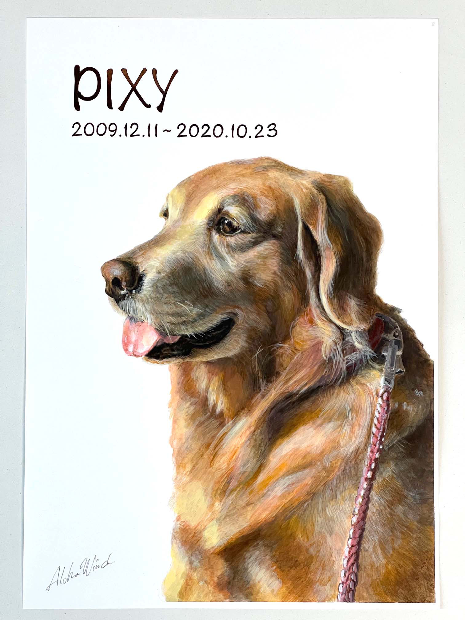 ペットの肖像画 ペットポートレート A3 2匹 ごつ 