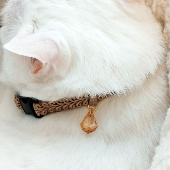 猫の首輪　トリミングブレード　V⑥　サンドベージュ 8枚目の画像