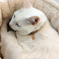 猫の首輪　トリミングブレード　V⑥　サンドベージュ 9枚目の画像