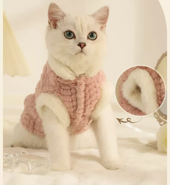 猫服 ネコ 冬厚く暖かい 可愛いコート 1枚目の画像