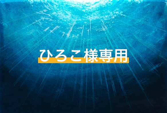 ひろこ様専用ページ 1枚目の画像