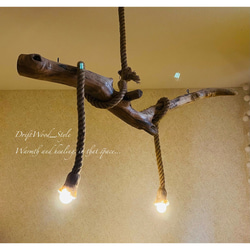 流木インテリア 太い枝がうねる古木風の天然流木のシーリングライト ペンダントライト LED ランプ 照明器具 北欧 5枚目の画像