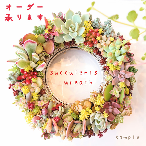 ❤️ Xmas SALE❤️多肉植物そのまま飾れる❤️多肉グラデーションリース❤️ 受注制作】そのまま飾れる多肉植物 ざるリース 多肉植物 hitomatome