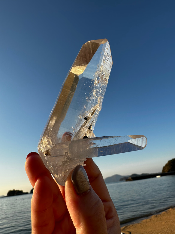 最高品質】コロンビアレムリアンシード7 その他インテリア雑貨 円と縁  