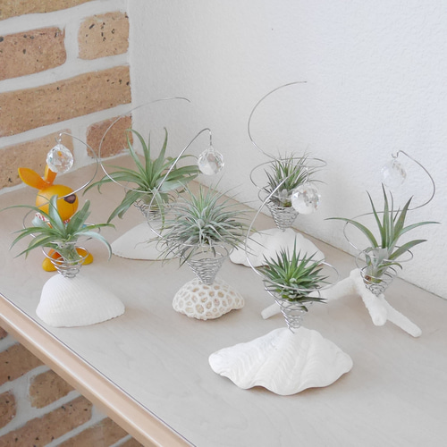 サンキャッチャーNo.12(ガラス玉20mm)付きエアープランツホルダー