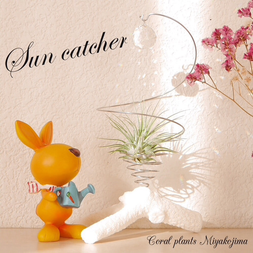 サンキャッチャーNo.12(ガラス玉20mm)付きエアープランツホルダー