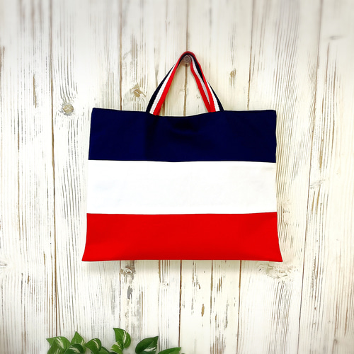 トリコロール カラーのお洒落なレッスンバッグ 基本サイズ レッスン