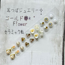 専用ページ✧̣̥̇耳つぼジュエリー200粒✧̣̥̇セラミック 23b087c3fee10b1b6918f6237bec08