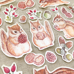 リスと木の実 フレークシール 2枚目の画像